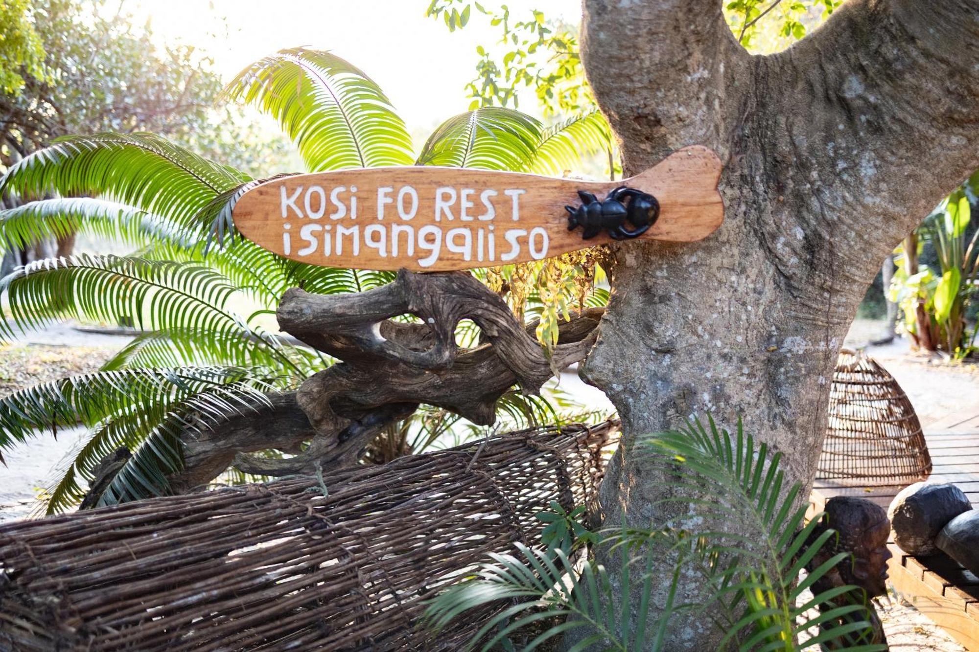 Kosi Forest Lodge Manguzi Dış mekan fotoğraf