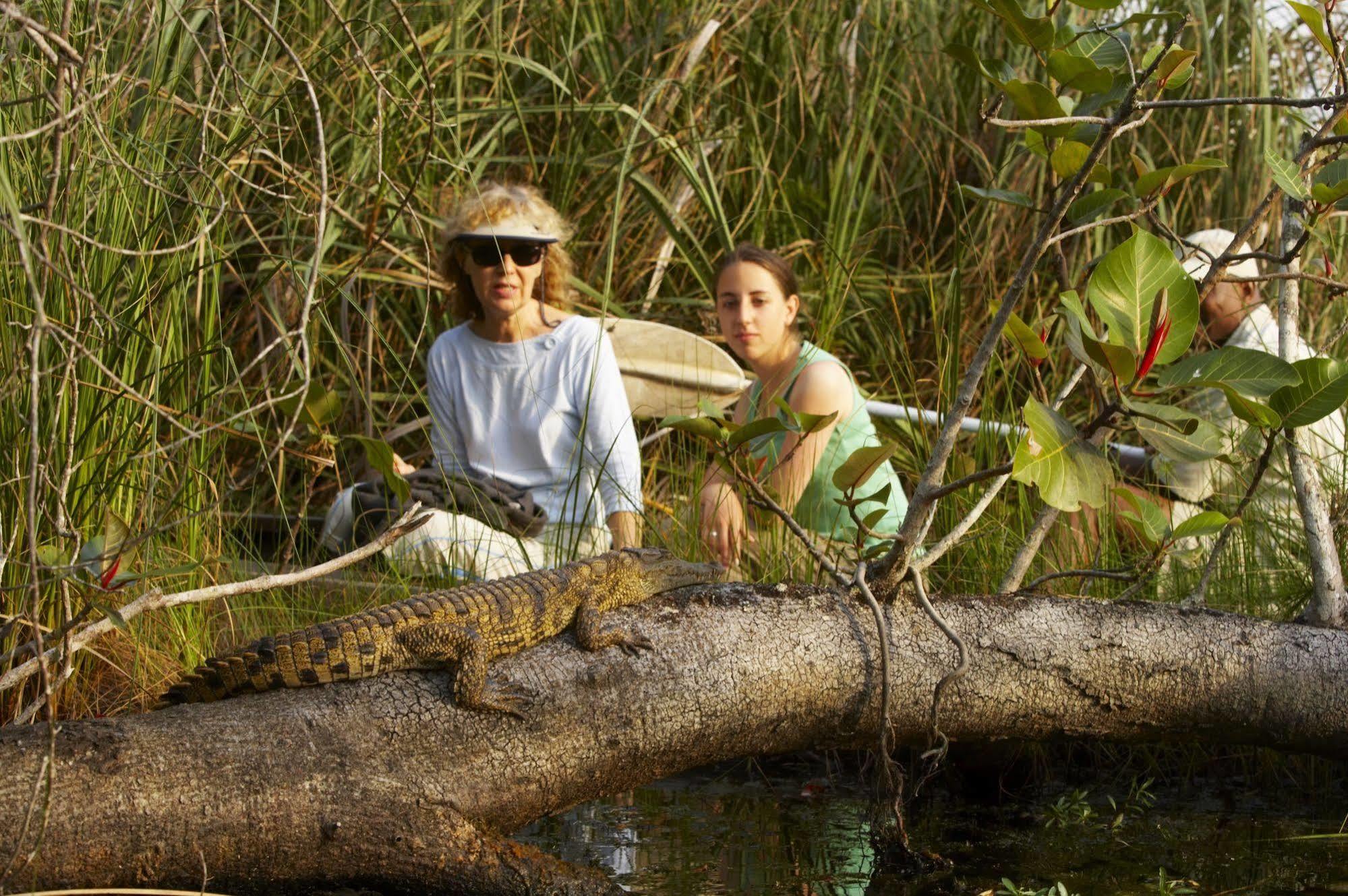 Kosi Forest Lodge Manguzi Dış mekan fotoğraf