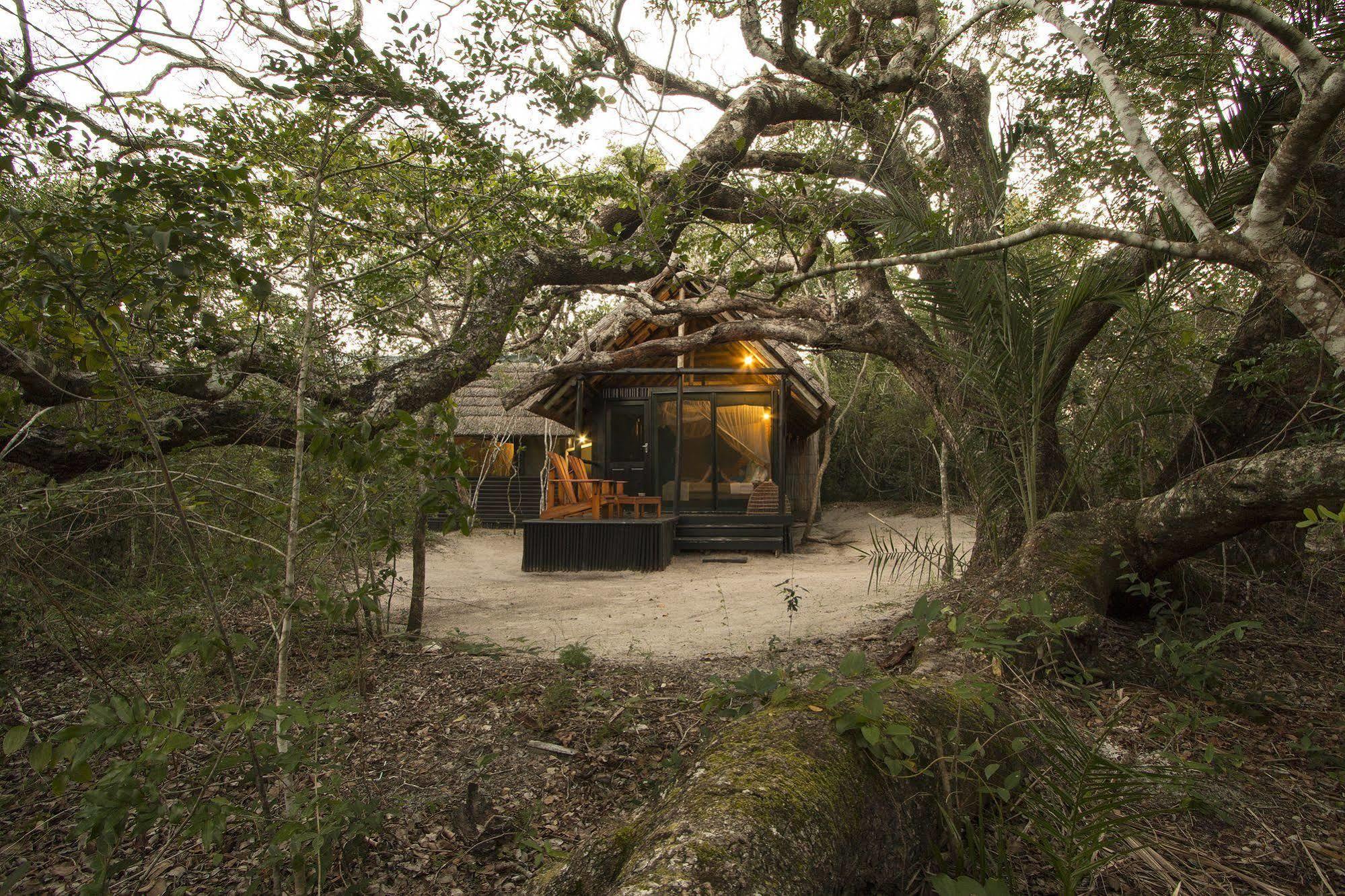 Kosi Forest Lodge Manguzi Dış mekan fotoğraf