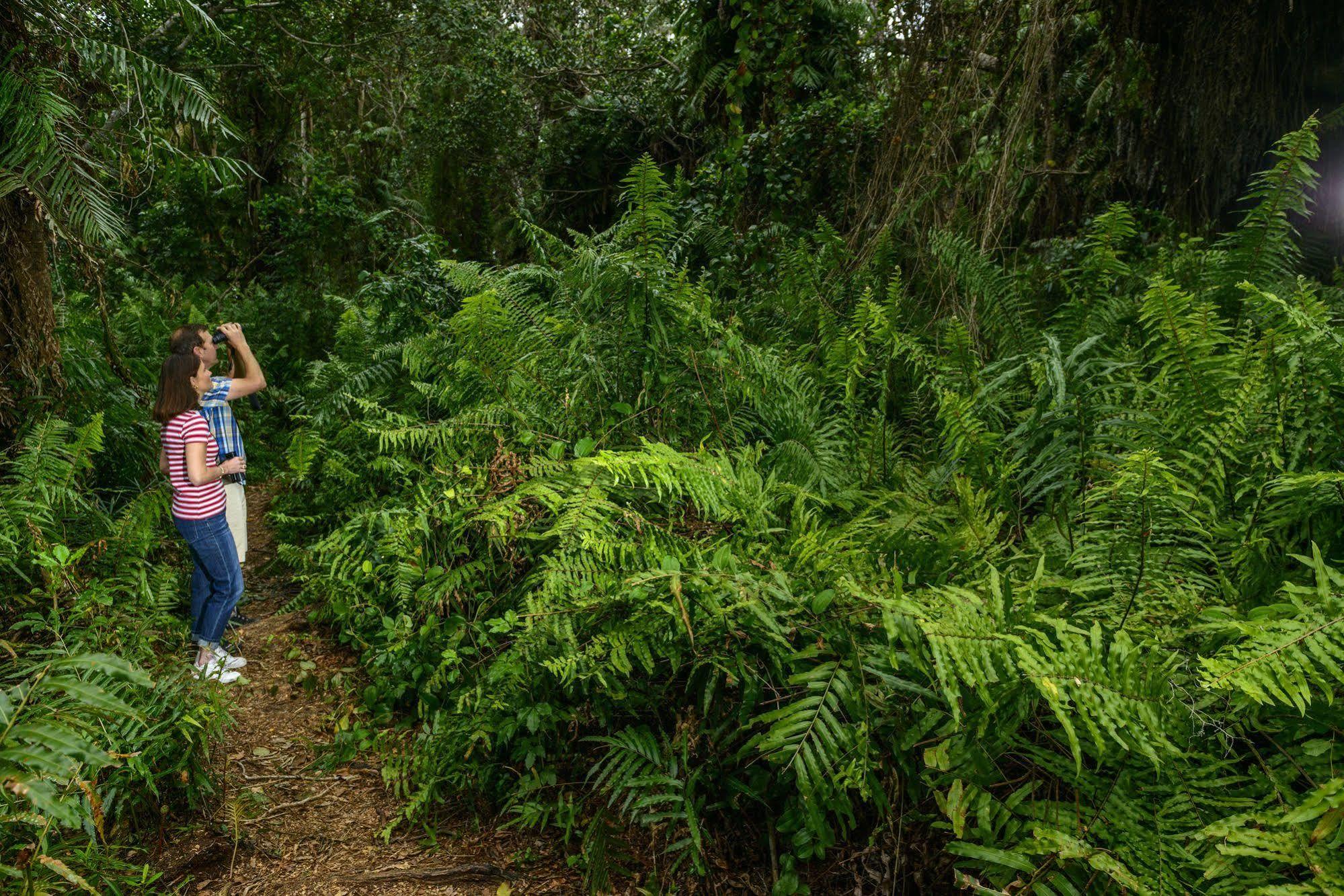 Kosi Forest Lodge Manguzi Dış mekan fotoğraf