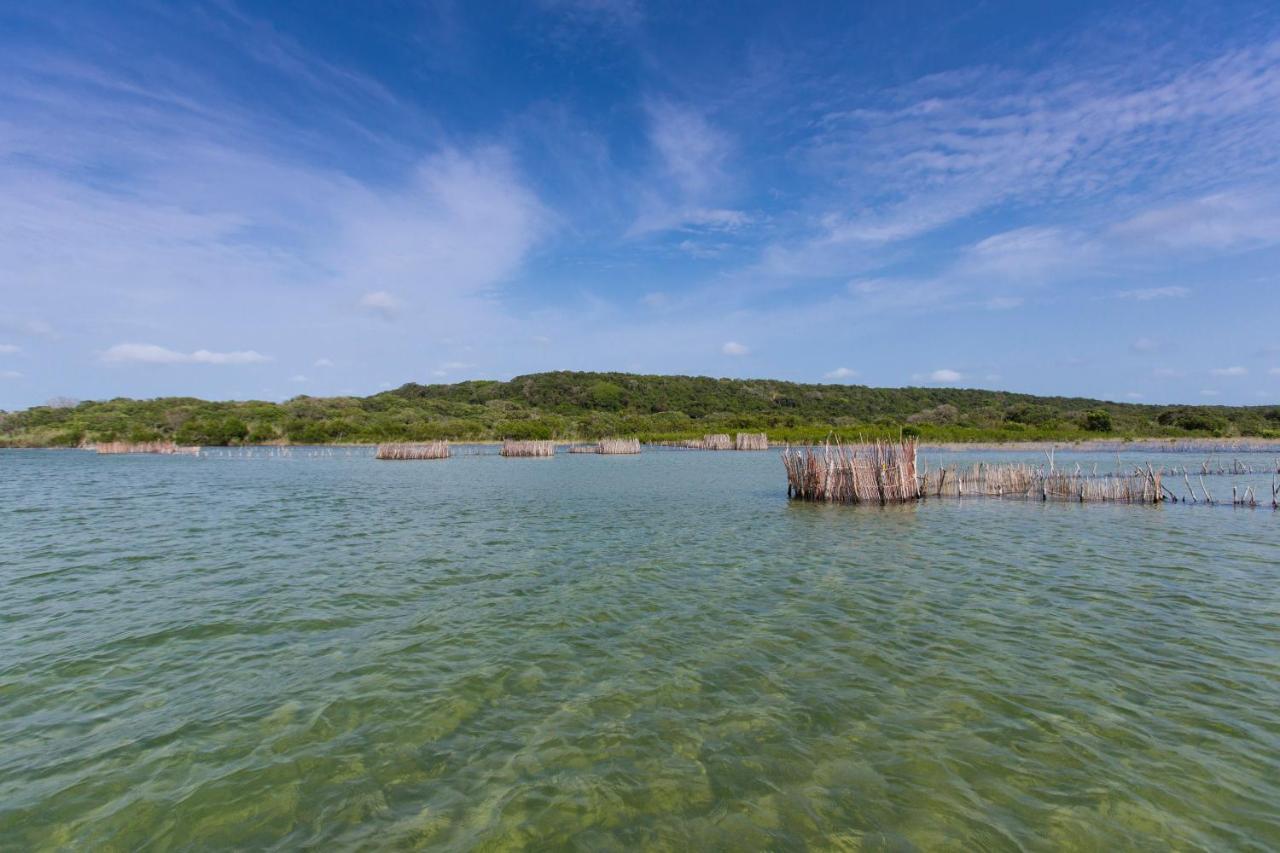 Kosi Forest Lodge Manguzi Dış mekan fotoğraf