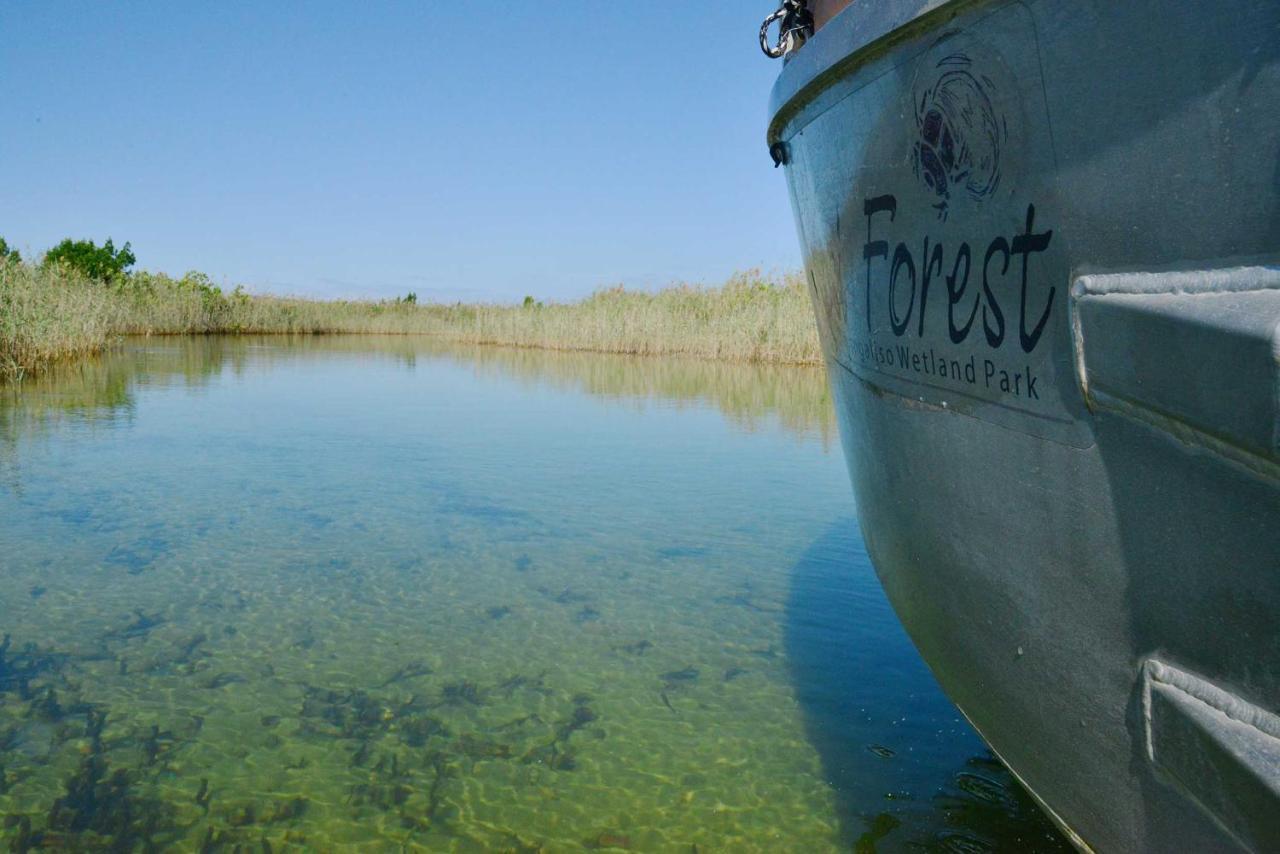 Kosi Forest Lodge Manguzi Dış mekan fotoğraf